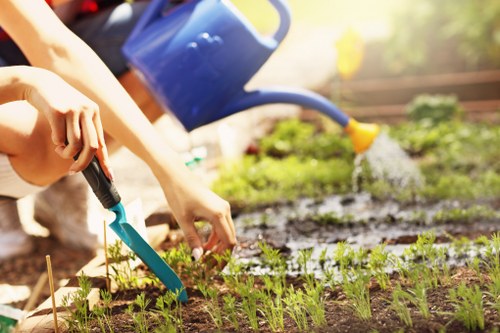 Team of Mikes Gardeners working in a lush garden