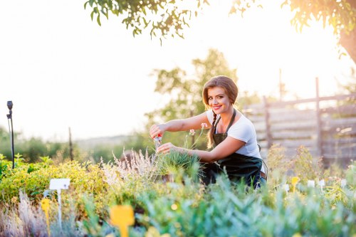 Professional gardener working in North Harrow garden