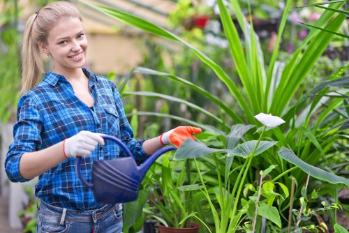 Gardener preparing soil in a Wood Green garden