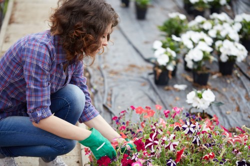 Community members gardening together in Brockley