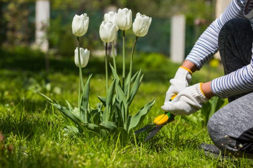 Mike's Gardeners team at work