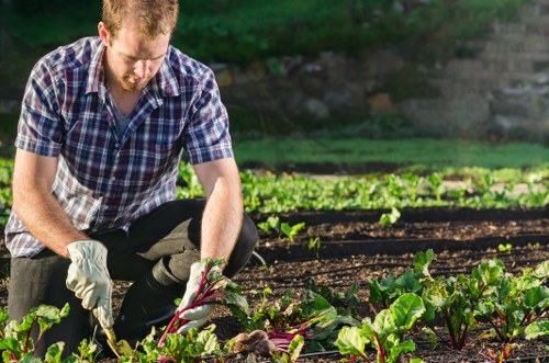 Gardeners working on a community garden project