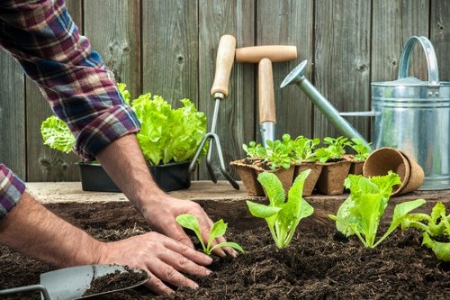 Community engagement activities in Cudham gardens