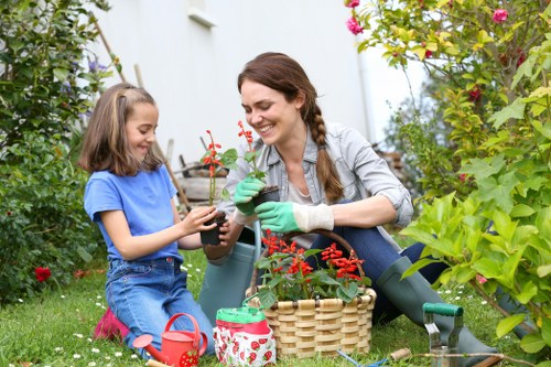 Healthy green plant leaves in a garden