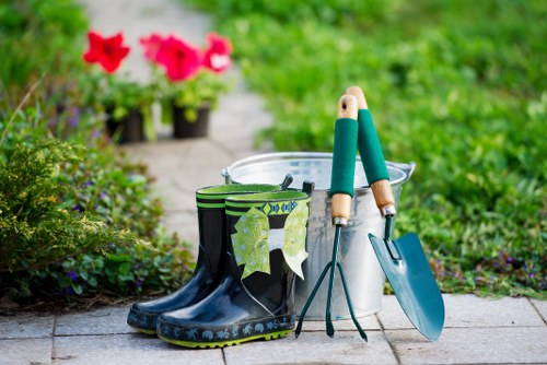 Expert plant care services from Gardeners Hampton