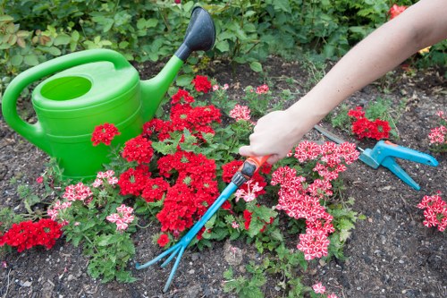 Professional gardener selecting plants in Aldwych