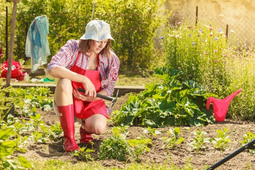 Professional garden maintenance in Streatham