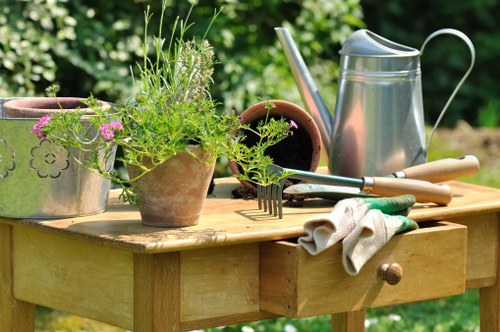 Gardeners in Stoke Newington enhancing a residential garden