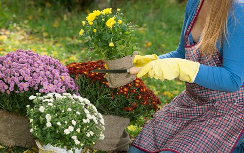 Professional gardeners at work in Norbury