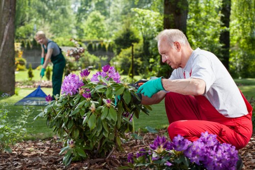 Seasonal garden maintenance activities in a Friern Barnet garden