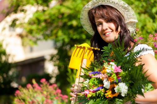 Selection of plants with vibrant green leaves