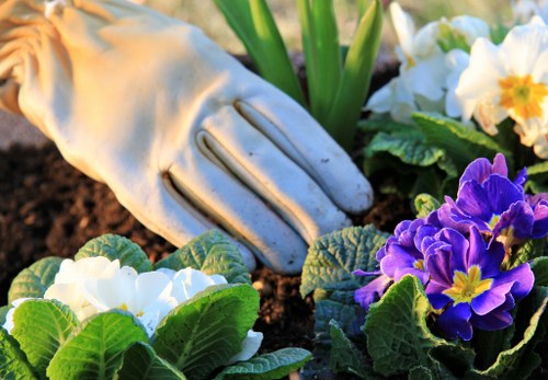 Seasonal plants thriving in a Biggin Hill garden