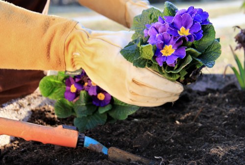 Top nearby areas for Edmonton gardeners