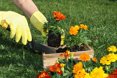 Community gardening event in Hornsey