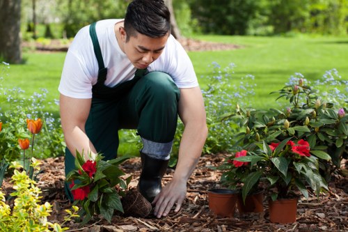 Gardeners designing a Streatham garden