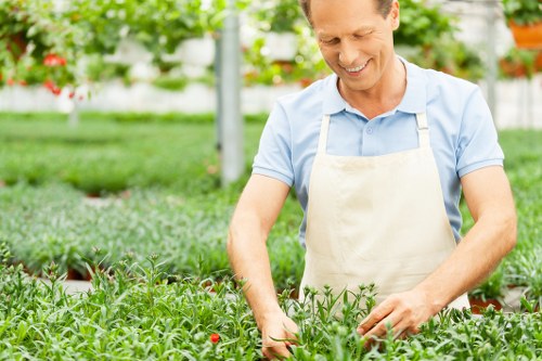 Professional gardener designing a landscape in Finsbury Park