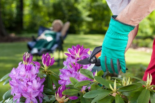 Seasonal gardening tips from Gardeners Selsdon