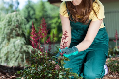 Professional lawn care service by Gardeners Sanderstead