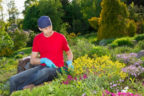 Professional pruning services in New Cross