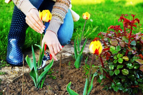 Seasonal flowers blooming in Gardeners Coombe