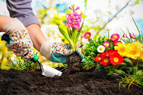 Community gardening event at Crystal Palace