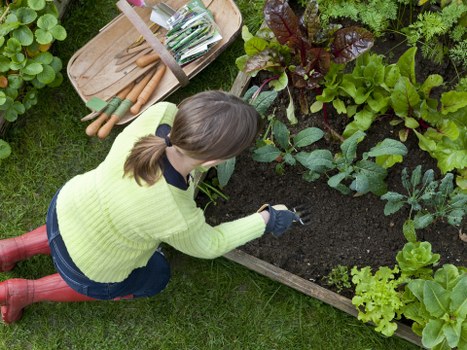 Local plants thriving in Nags Head soil