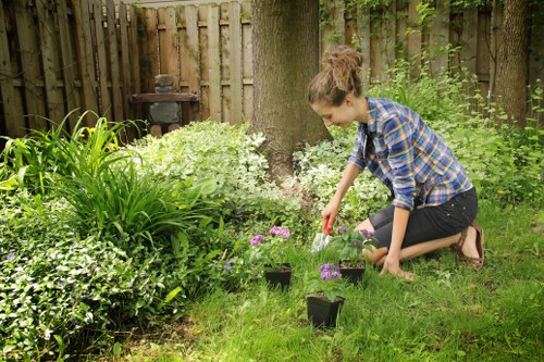 Experienced gardeners at work in Keston