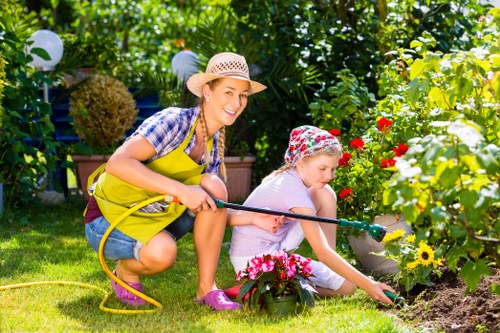 Sustainable gardening practices in a Beddington garden