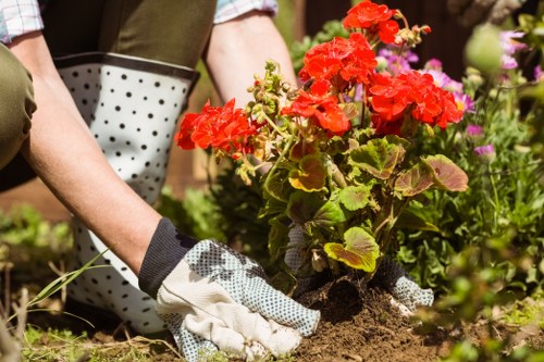 Professional gardeners maintaining a lush lawn