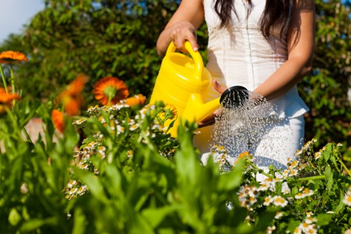 Garden maintenance services provided in Harold Hill