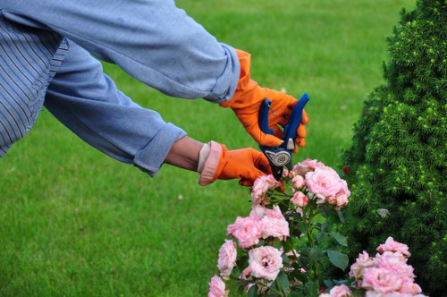 Top garden spots in Motspur Park