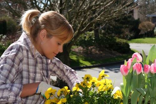 Tools and equipment used by Gardeners North Harrow