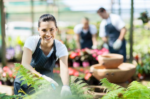 Lush green plants in an urban garden