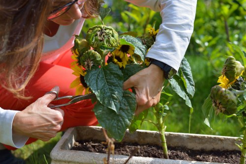 A community garden in Stratford near Canning Town