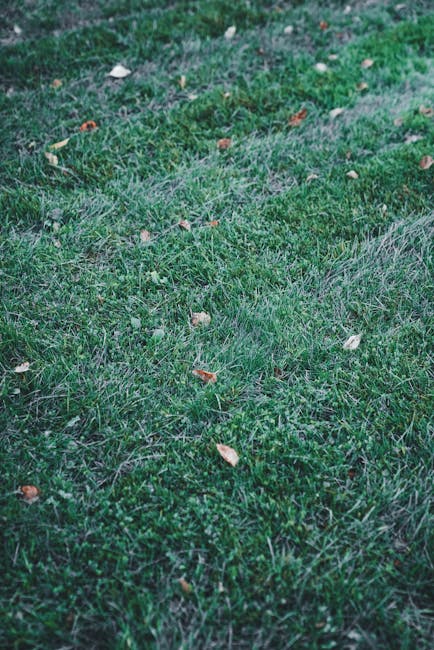 A close-up view of a garden lawn showing a patch of uneven, overgrown grass with various textures, including long blades and areas of sparse growth. The grass is interspersed with fallen leaves and sm