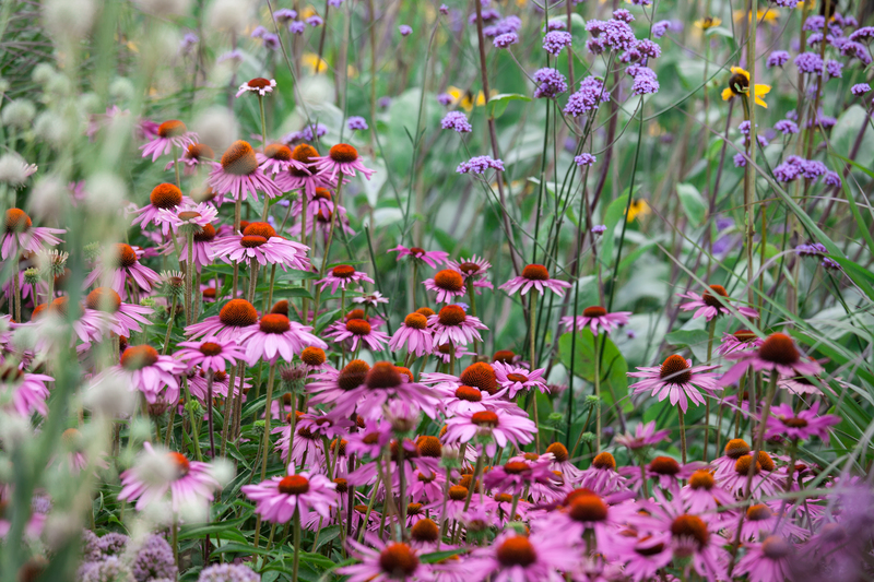 lawn care landscape design